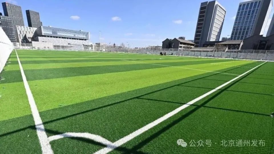 家长如何为孩子选择合适的篮球冬令营?_0